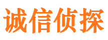 宝塔市侦探公司